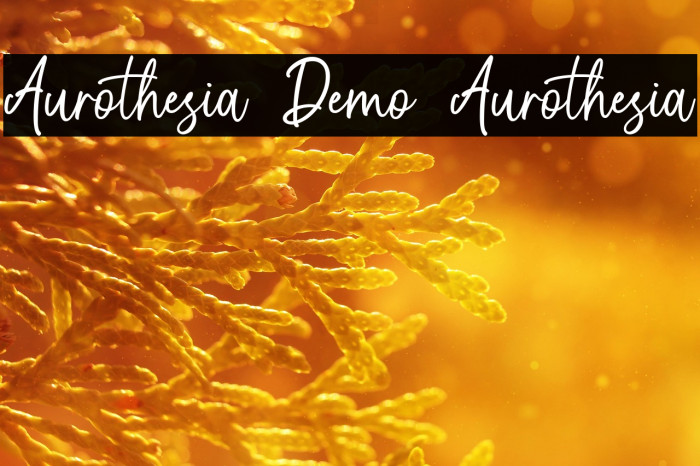 Aurothesia Demo Aurothesia Example 3