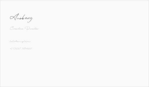 Ausberg Business Card