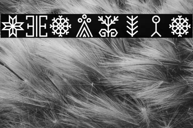 Auseklis Fonte examples