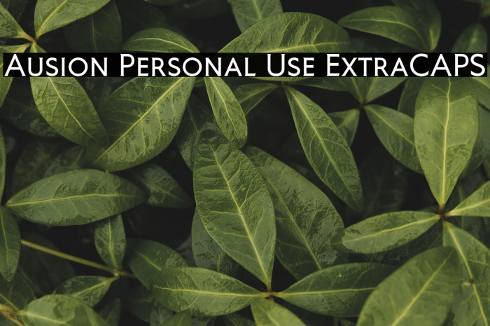 Ausion Personal Use ExtraCAPS Example 2