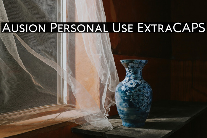Ausion Personal Use ExtraCAPS Example 3