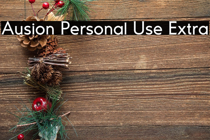 Ausion Personal Use Extra Example 1