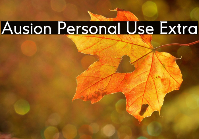 Ausion Personal Use Extra Example 2