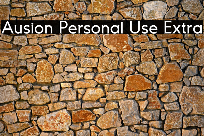 Ausion Personal Use Extra Example 3