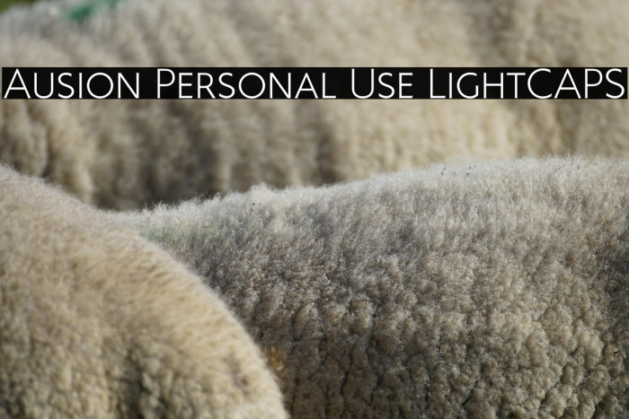 Ausion Personal Use LightCAPS Example 1