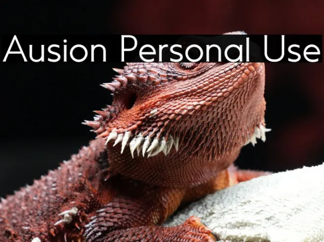 Ausion Personal Use Example 1