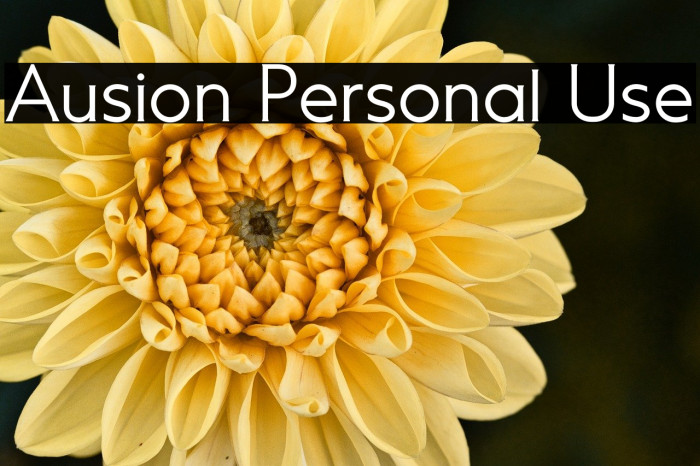Ausion Personal Use Example 2