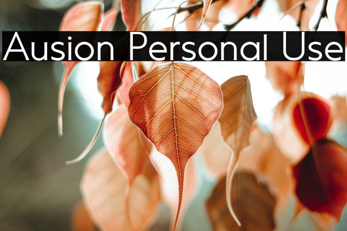 Ausion Personal Use Example 3