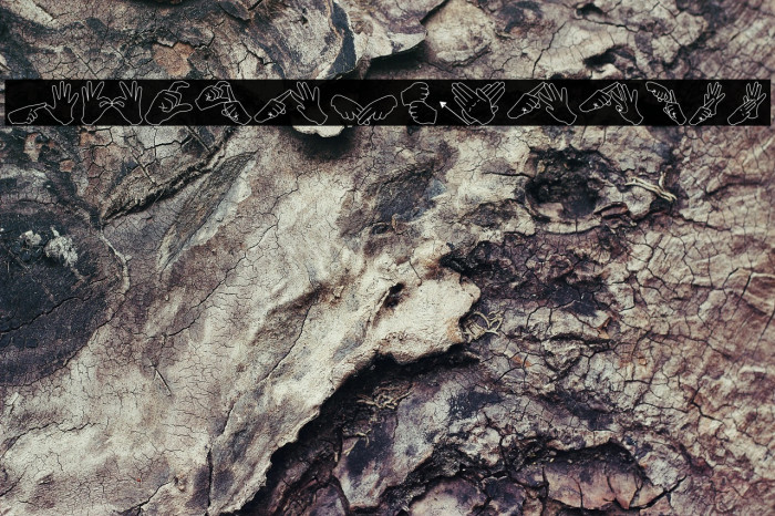 AuslanFingerSpelling Example 2