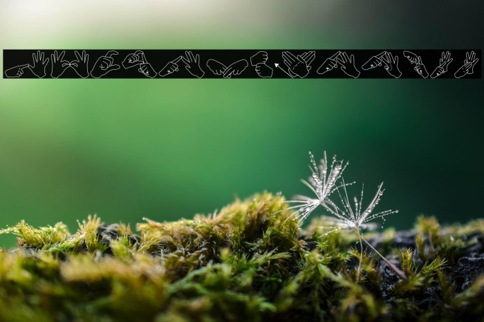 AuslanFingerSpelling Example 3