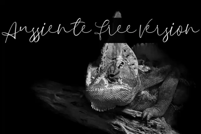 Aussiente Free Version フォント examples