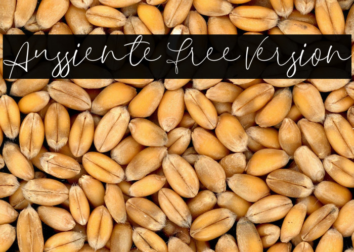 Aussiente Free Version Example 2