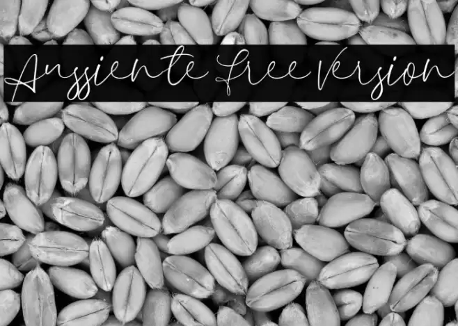 Aussiente Free Version フォント examples