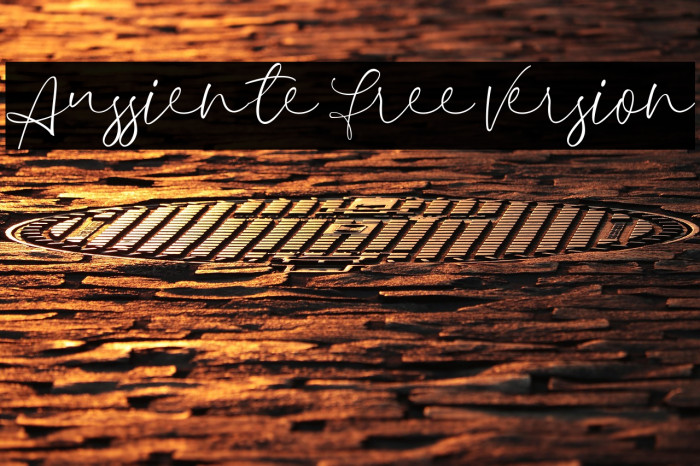 Aussiente Free Version Example 3