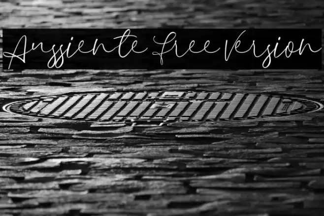 Aussiente Free Version フォント examples