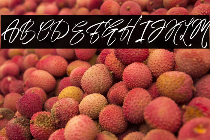 AustandSignature-Regular Example 3