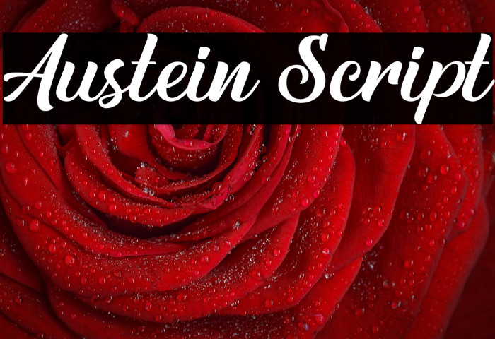 Austein Script Example 3