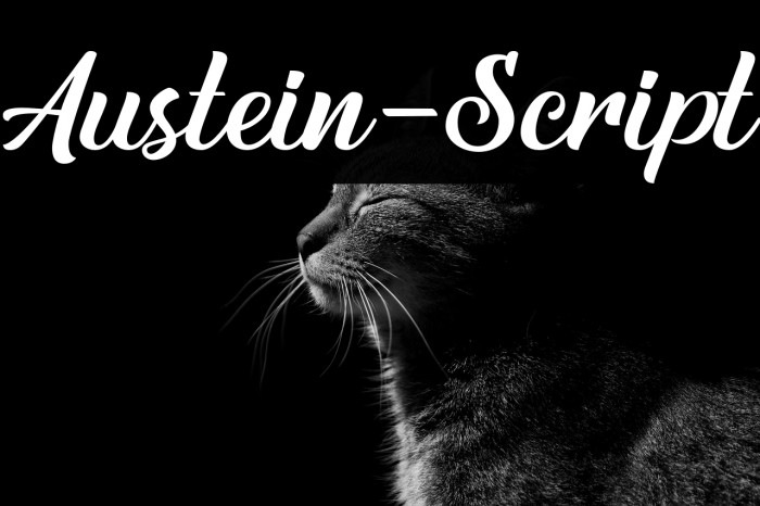 Austein-Script Example 1