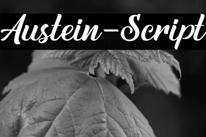 Austein-Script Font examples