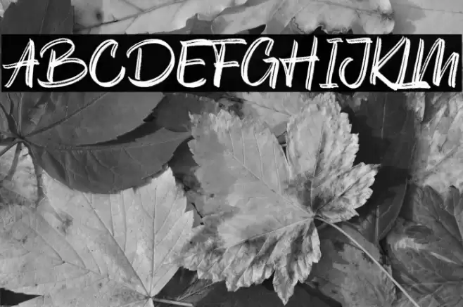 Austellia Font examples