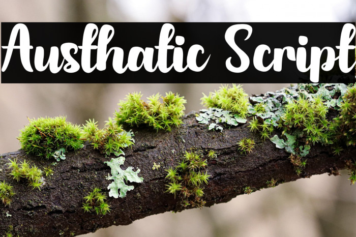 Austhatic Script Example 1