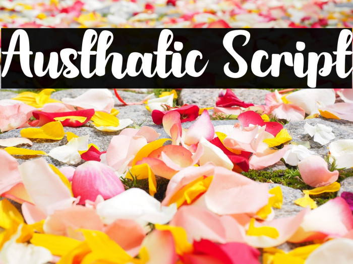 Austhatic Script Example 3