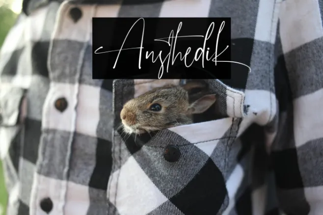 Austhedik Example 3