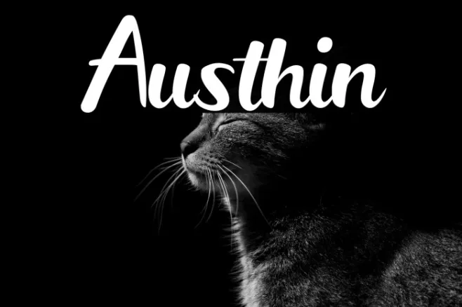 Austhin Example 1