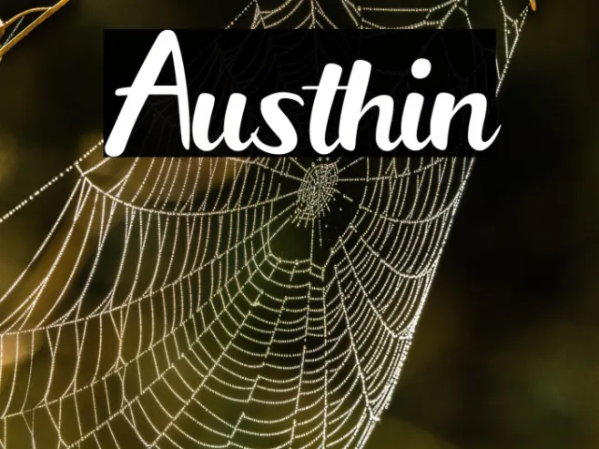 Austhin Example 2