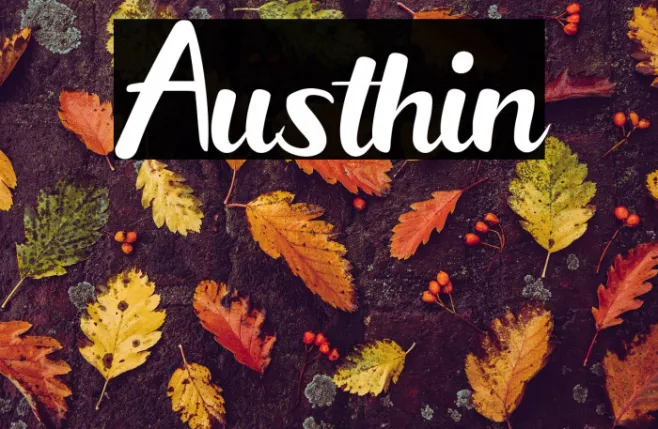 Austhin Example 3