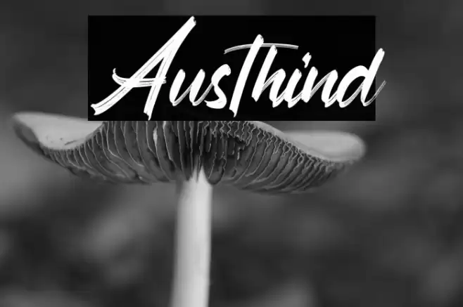 Austhind Font examples