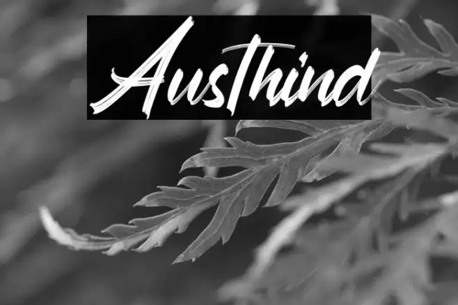 Austhind Font examples