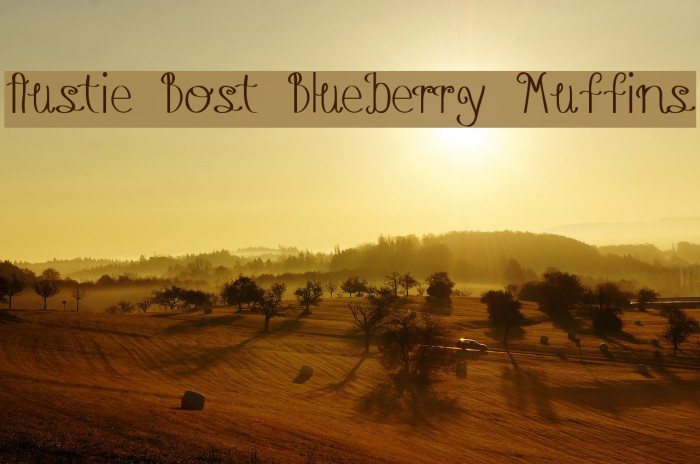 Austie Bost Blueberry Muffins フォント examples