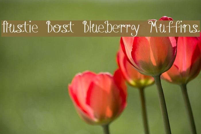 Austie Bost Blueberry Muffins フォント examples