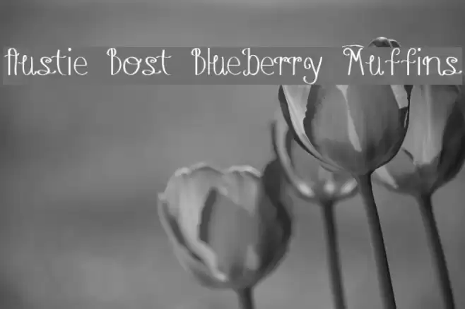 Austie Bost Blueberry Muffins Font examples