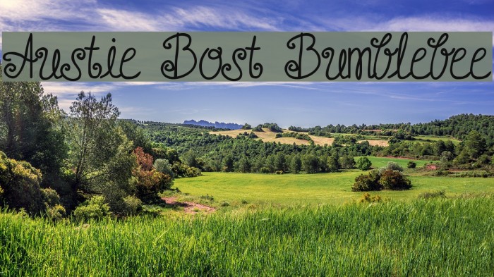 Austie Bost Bumblebee फ़ॉन्ट examples