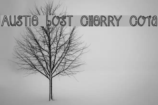 Austie Bost Cherry Cola Font examples