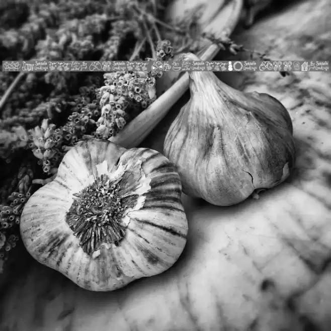 Austie Bost Christmas Doodles Font examples