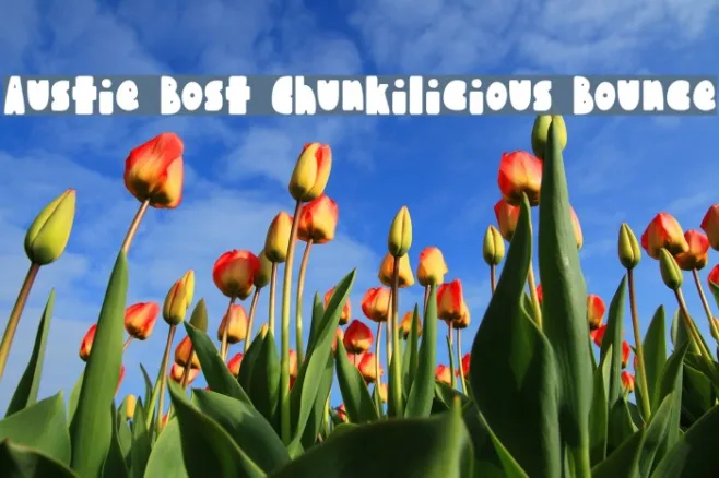Austie Bost Chunkilicious Bounce Example 2