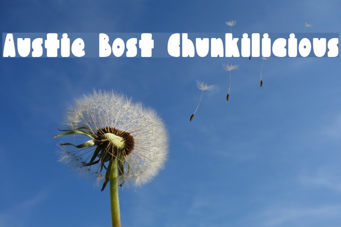 Austie Bost Chunkilicious Font examples