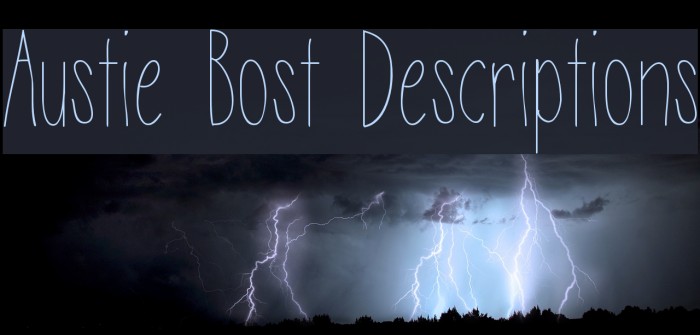 Austie Bost Descriptions Font examples