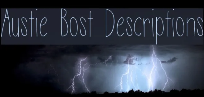 Austie Bost Descriptions Example 1