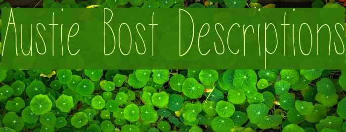 Austie Bost Descriptions Font examples