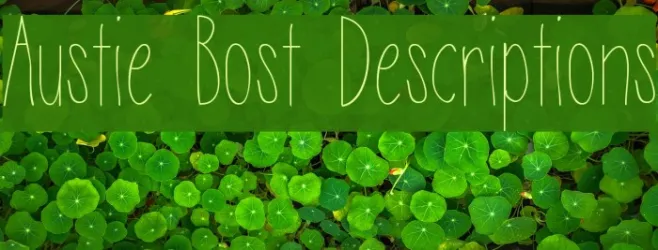 Austie Bost Descriptions Example 2