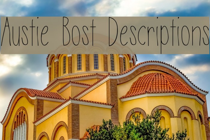 Austie Bost Descriptions Font examples