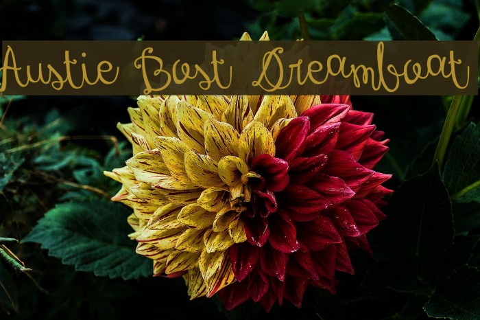 Austie Bost Dreamboat Font examples
