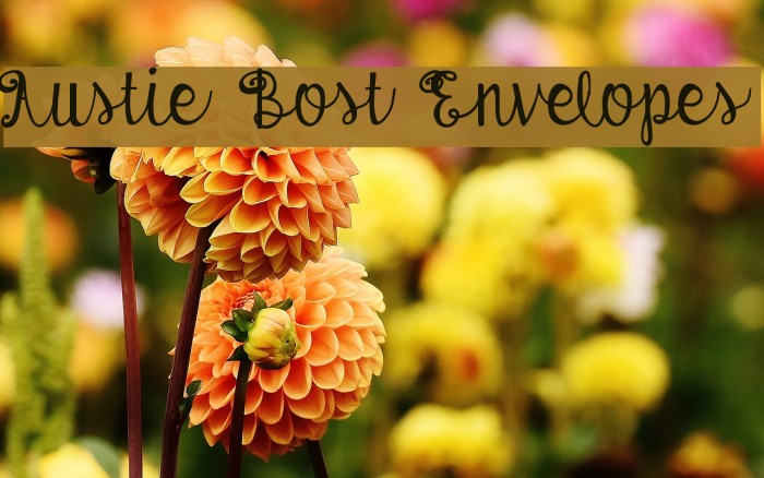 Austie Bost Envelopes Font examples