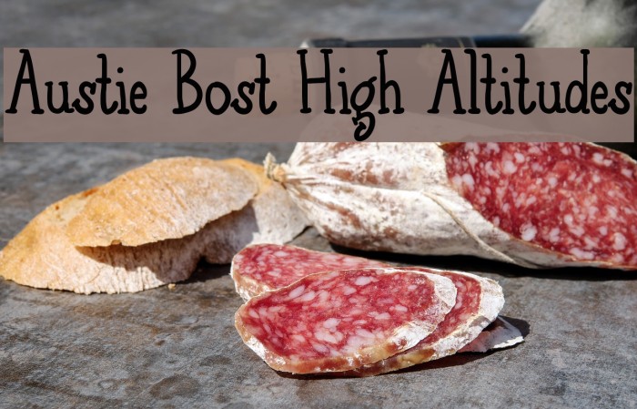 Austie Bost High Altitudes Example 2