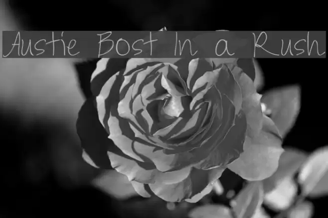 Austie Bost In a Rush Font examples