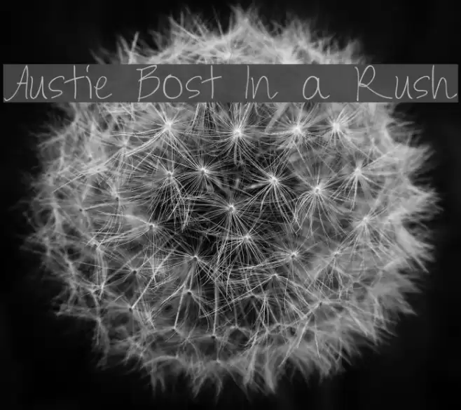 Austie Bost In a Rush Font examples